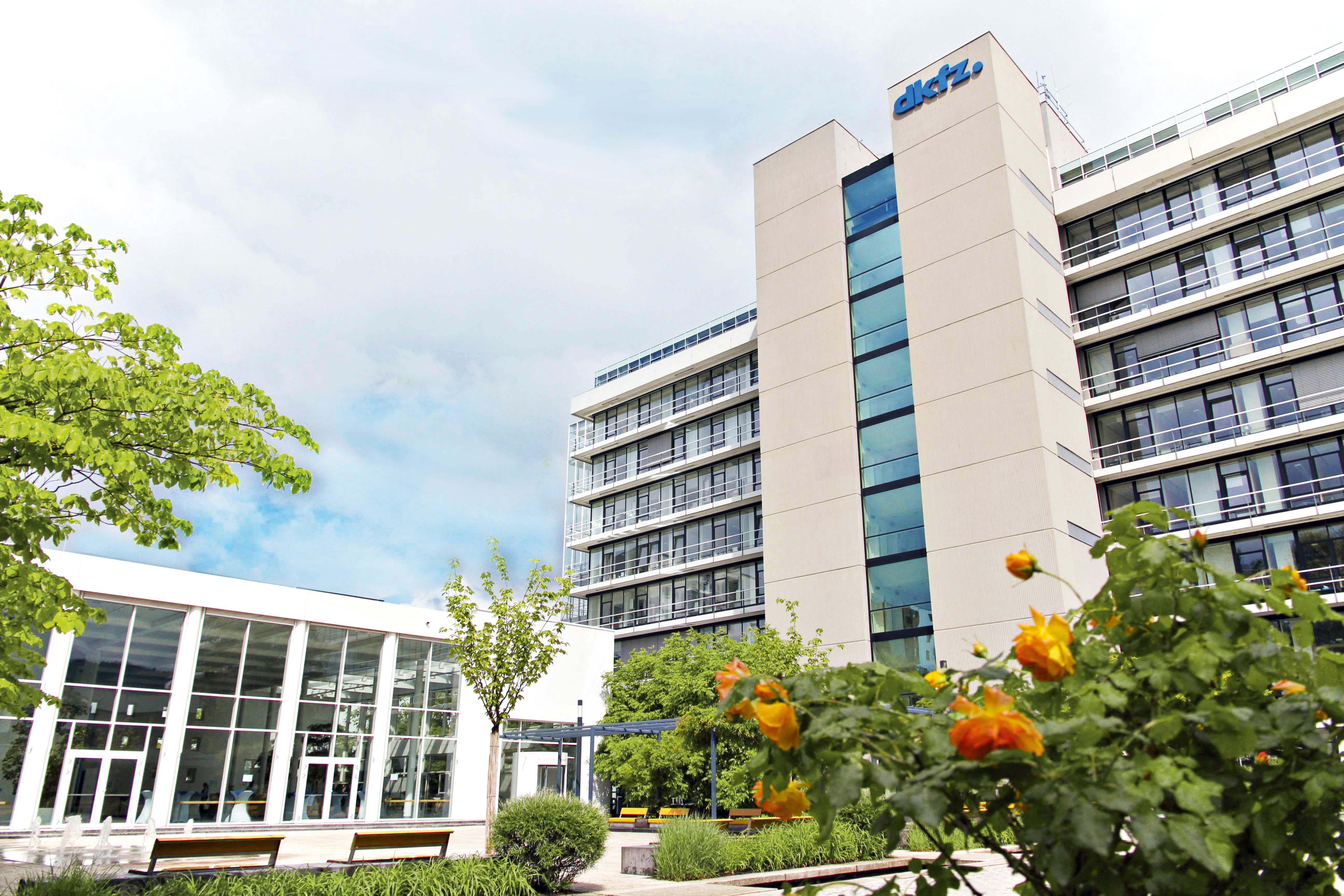 Quelle: Deutsches Krebsforschungszentrum (DKFZ)/Dagmar Anders